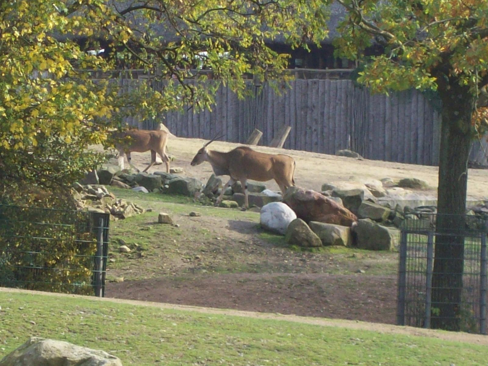 Zoom 18.10.2008-068.jpg